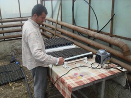 Improved Seedling Production: Promotes increased productivity and income for small land holding farmers of Georgia