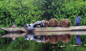 Pirogue with fishing traps on the Ubangi River of Central Africa.