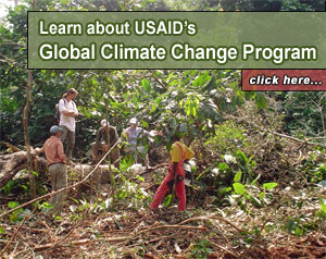 Photo of foresters and scientists assessing the carbon impact of felled tree on surrounding forest in northern Republic of Congo. (click here to learn about USAID's Global Climate Change Program)