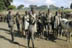 Group waiting in the cattle camp outside Rumbek 