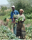 Farmers in Ethiopia