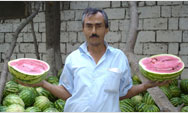 A watermelon farmer learns to leverage supply and demand - Click to read this story