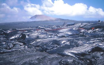 Close view of pahohoe flow from breakout, Kilauea Volcano, Hawai`i