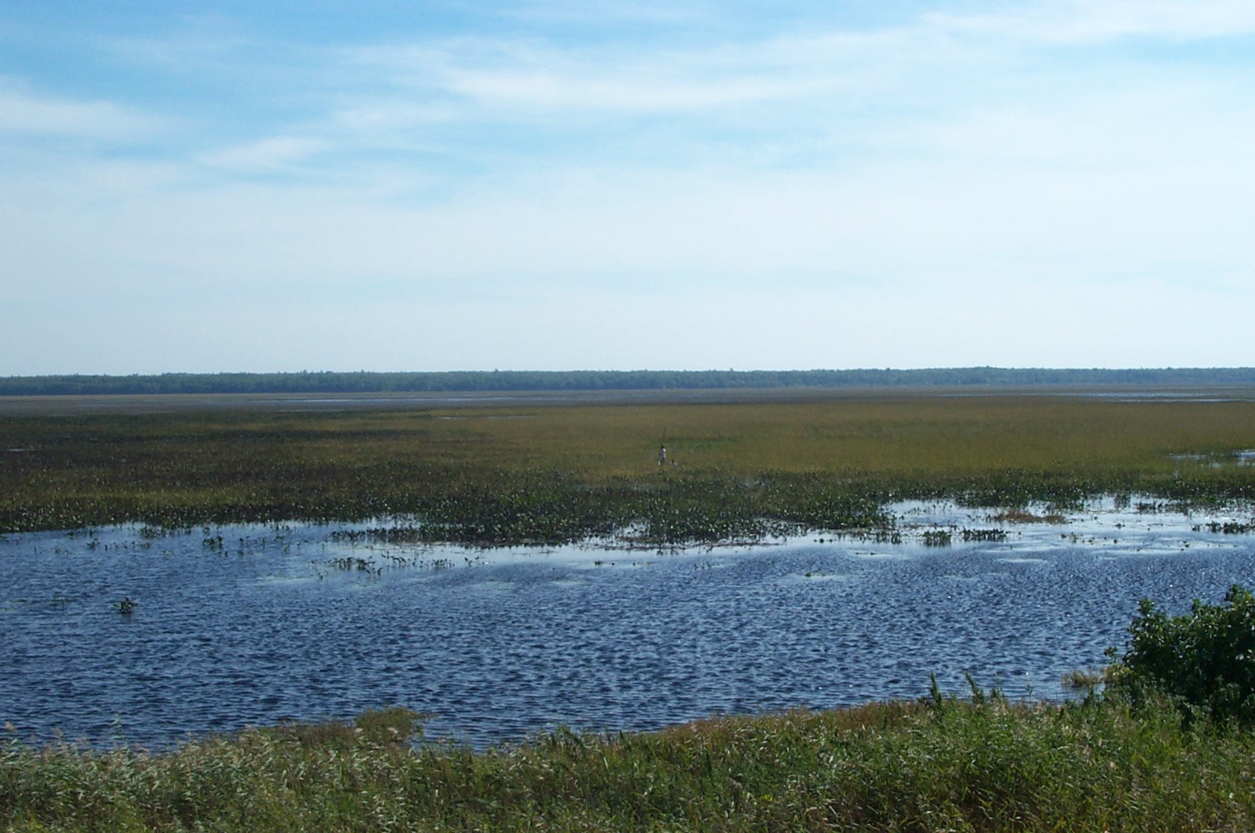 View of Rice Lake