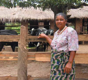 Photo: Mrs. Ibrahim of Dedza, Malawi demonstrates the success of dairy farming.
