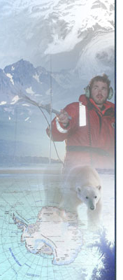 collage of polar related images