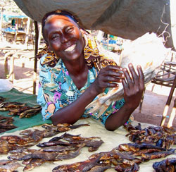 Esther Moriba selling fish at her stand in the local market