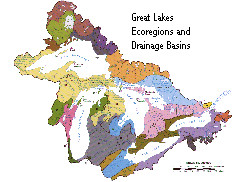 Great Lakes Ecoregions