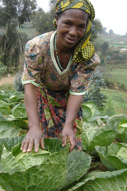 Modesta Philipo tends to her cabbage crop, which her family hopes to sell at a good rate through new farmers’ associations in Mgeta, Tanzania.