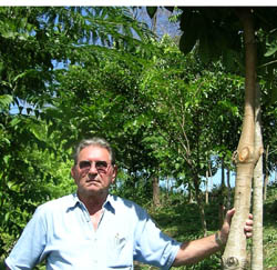 Anthenor Pianna proudly shows one of his Atlantic Forest trees in Brazil’s state of Espirito Santo.