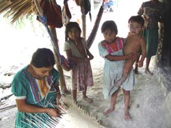 Weaver association helps Chotí women support their families and avert another hunger crisis.