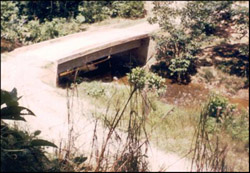 A bridge in the municipality of Puerto Caicedo in Columbia