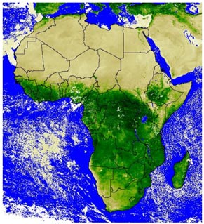 normalized difference vegetation index  (ndvi) dekadal image