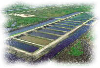aerial photo of stormwater treatment ponds