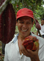 Worker admires size of cacao bean