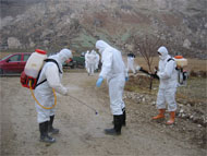 A team of USG and local health experts attired in personal protective equipment  use decontamination spray after investigating an outbreak of avian influenza in Turkey.