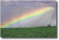 photo of a field being watered with a rainbow in the sky