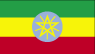 Flag of Ethiopia is three equal horizontal bands of green (top), yellow, and red with a yellow pentagram and single yellow rays emanating from the angles between the points on a light blue disk centered on the three bands.
