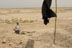 DART Abuse Prevention Officer, Jean Geran, (also a Foreign Affairs Officer at the State Department's Bureau of Democracy, Human Rights and Labor) carries out an assessment of a mass grave in southern Iraq.  The location of the mass grave was marked by a black mourning flag, 20 kilometers southeast of Basrah.  Human Rights Watch, which has visited the site, estimates the mass grave may contain the remains of several hundred people.  Despite the hazard posed by unexploded ordnance in the area, some residents have begun to unearth graves, looking for missing relatives.