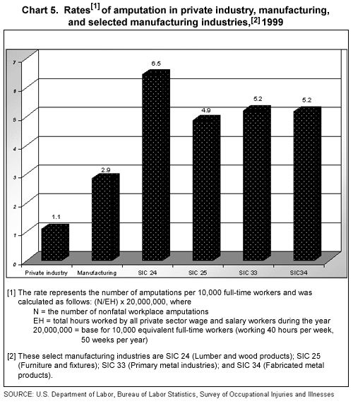 Chart 5. Rates of amputation in private industry, manufacturing, and selected manufacturing industries, 1999