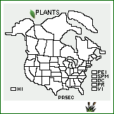 Distribution of Prunus serotina Ehrh. ssp. capuli (Cav.) McVaugh. . 