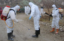 A team of U.S. government and local health experts dressed in personal protective equipment (PPE) use decontamination spray after investigating an outbreak of highly pathogenic avian influenza H5N1 in wild birds and domestic poultry in Turkey, January 2006.