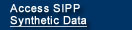 Access SIPP Synthetic Data