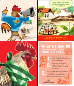 Materials used in USAID's avian influenza communications activities (prepared by the Academy for Educational Development). Clockwise from top left: Cambodia's "Super Chicken," Vietnam poster, educational poster, Ghana poster image. Source: USAID