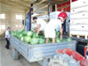Univerzal Promet leveraged a watermelon glut and specialized business assistance from USAID to break in to the U.K. market