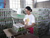 Technical recommendations from USAID's Rural Enterprises Competitiveness project helped this cannery to increase its sales by processing new products and producing 400,000 jars of canned vegetables and 180,000 bottles of lemonade