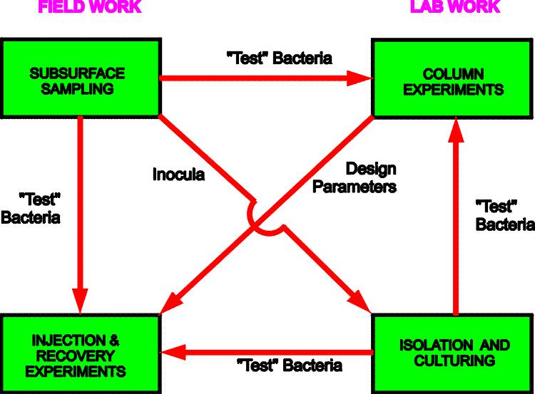 Information about subsurface microbiology