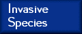 Invasive Species