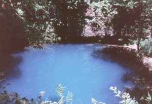 Round Spring, Missouri flowing into an almost perfectly circular cavern that has collapsed