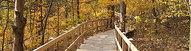 A picture of the boardwalk at the Birthplace Unit
