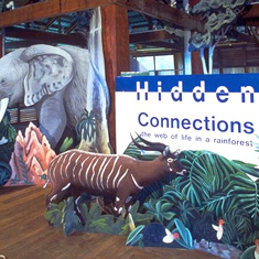 Rainforest preservation exhibit in Ghana