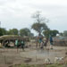 Busy day in a cattle camp outside Rumbek