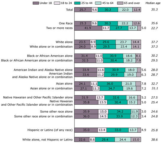 Chart of percent of population by selected age groups, race, and Hispanic or Latino Origin, 2000