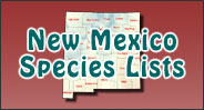 Get a New Mexico Species List