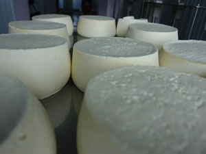 The opening of two new cheese plants marks the industrialization of cheese production in Georgia and gives hope to farmers in the Javakheti region