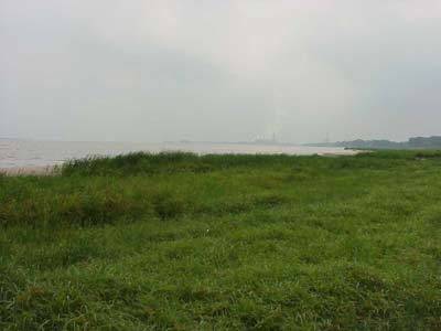 This photograph depicts both undeveloped coastal wetland (foreground and industry (background) in the Saginaw River/Bay AoC