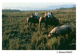 Tourists riding elephants look at a rhinoceros. Photo Source: J. Bissau/USAID