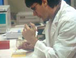 USGS Biologist Analyzing Samples