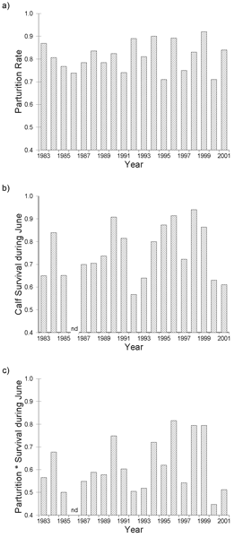 Figure 3.10 plots estimates of 3 reproductive parameters for the Porcupine caribou herd, 1983-2001; a) parturition rate of adult females, b) calf survival from birth through the last week of June, and c) net calf production, the product of parturition rate and calf survival.  No trends through time, or differences between the increasing and decreasing population phases were evident for any parameter.