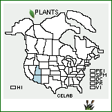 Distribution of Celtis laevigata Willd. var. brevipes (S. Watson) Sarg.. . 