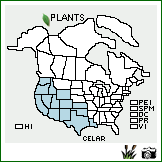 Distribution of Celtis laevigata Willd. var. reticulata (Torr.) L.D. Benson. . Image Available. 