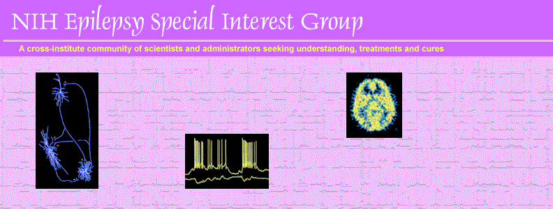 NIH Epilepsy Special Interest Group - A cross-institute community of scientists and administrators seeking understanding, treatments and cures