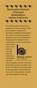 Blending Initiative - brochure cover