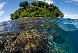 nature photo - nature photography - nature image - best nature photo - underwater photo - underwater photography - over/under photo - Kimbe Bay photo -  Papua New Guinea photo - scuba diving photo