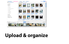 Upload & organize