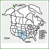 Distribution of Oenothera engelmannii (Small) Munz. . 